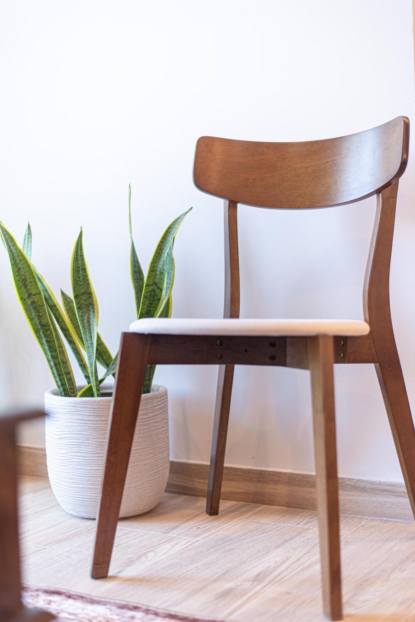 Kanela Apartment Oinofyta Kültér fotó